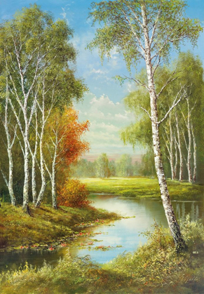 Picture of BIRCHES