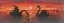 Picture of SWANS IN THE SUNSET