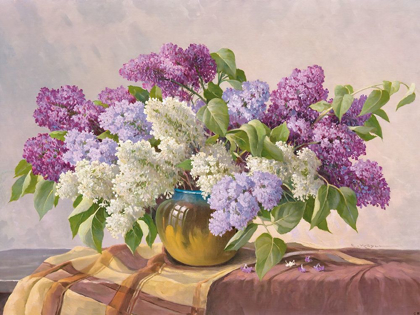 Picture of LILAC