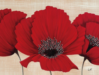 Picture of LINEN POPPY