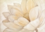 Picture of GOLDEN LOTUS
