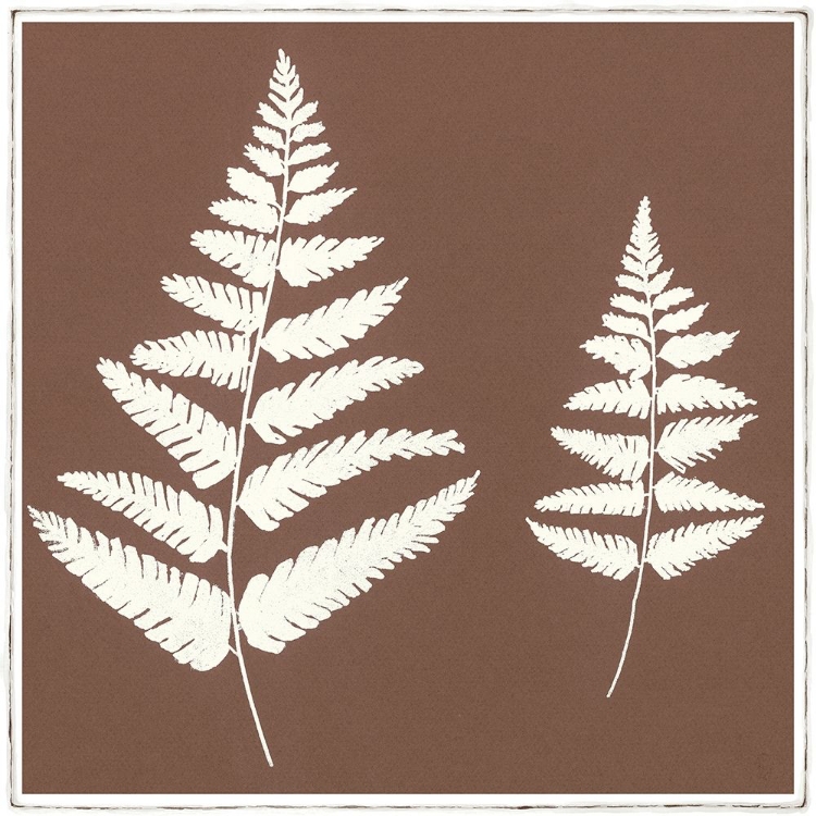 Picture of MOCCA FERN II