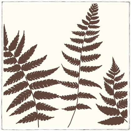 Picture of MOCCA FERN III