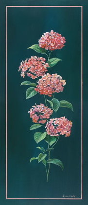 Picture of VINTAGE HYDRANGEA