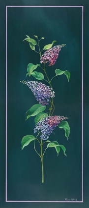 Picture of VINTAGE SYRINGA