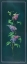 Picture of VINTAGE SYRINGA