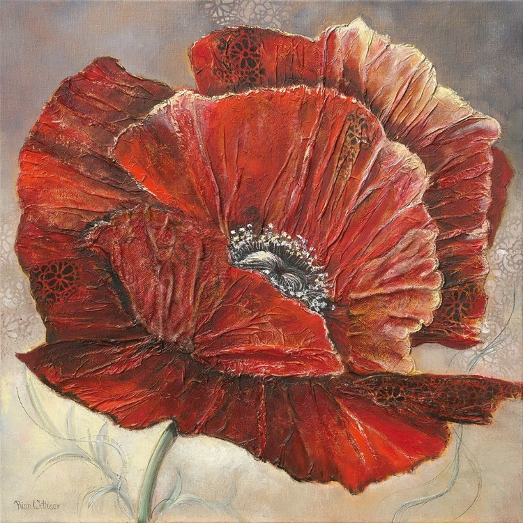 Picture of BOLD POPPY I