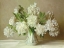 Picture of WHITE PEONIES