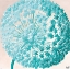 Picture of GIANT ALLIUM I