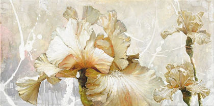 Picture of VANILLA IRIS I