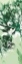 Picture of GREEN ALLURE I