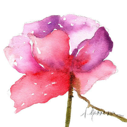 Picture of WATERCOLOR POPPY III
