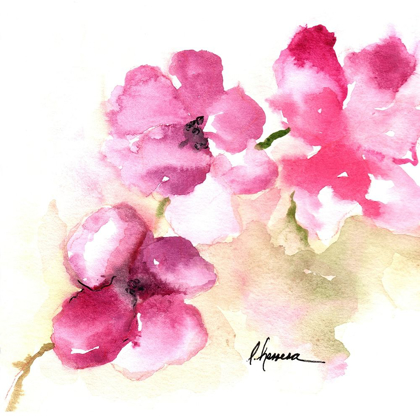 Picture of WATERCOLOR POPPIES III