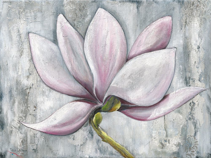 Picture of PINK MAGNOLIA