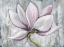 Picture of PINK MAGNOLIA