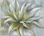 Picture of GREEN FLOWER