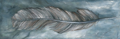 Picture of FEATHER II