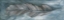 Picture of FEATHER II