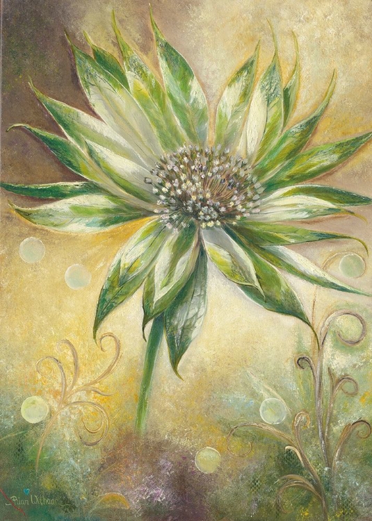 Picture of FANTASY FLOWER