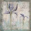 Picture of MEADOW FLOWERS I