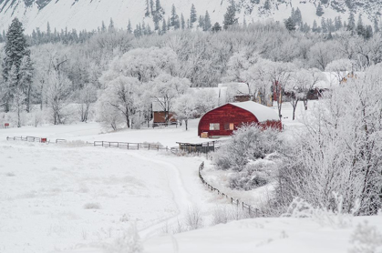 Picture of DREAMY WINTER FARM