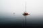 Picture of DREAMY SAIL BOATS