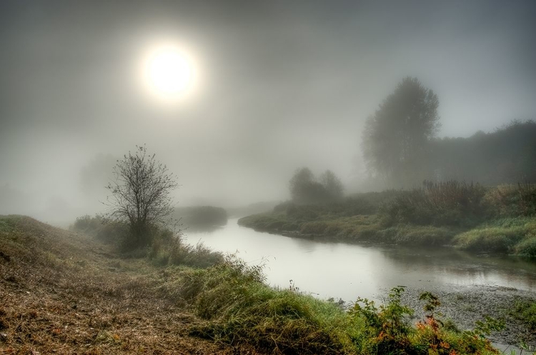 Picture of MISTY CREEK