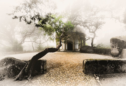 Picture of MISTY CHAPEL