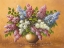 Picture of SYRINGA