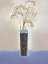 Picture of WILLOW II