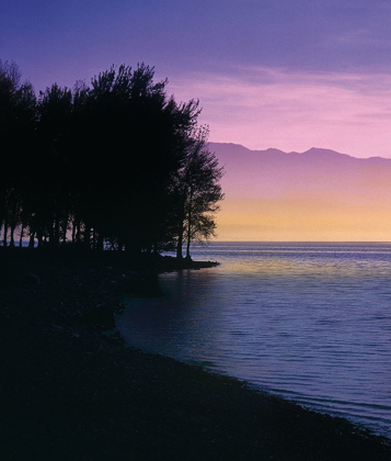 Picture of IDYLLIC LAKE IV