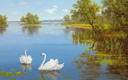 Picture of SWANS ON THE LAKE