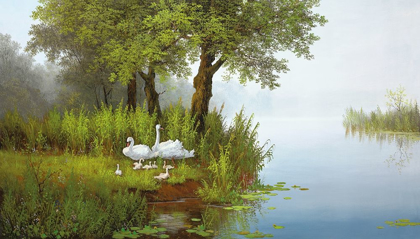 Picture of SWANS AT THE POND I