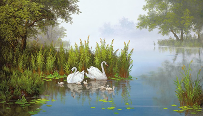 Picture of SWANS AT THE POND II
