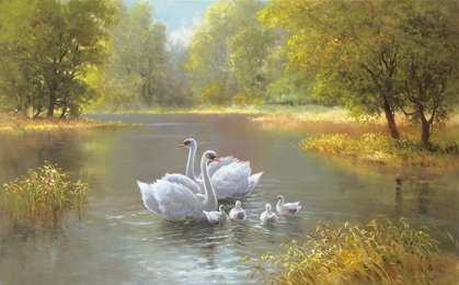 Picture of SWAN FAMILY