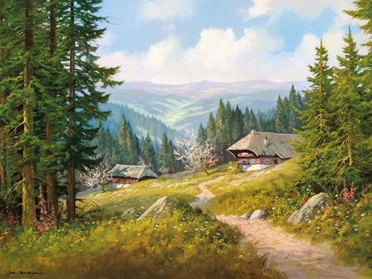 Picture of IN THE BLACK FOREST