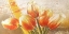 Picture of ORANGE TULIPS