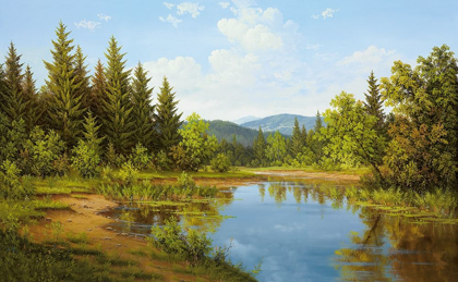 Picture of WILDERNESS WONDER