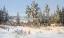 Picture of WINTER IN BELARUS