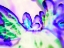 Picture of BIOLOGIC II