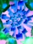 Picture of RADIAL BOWTIES II