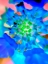 Picture of RADIAL BOWTIES IV