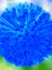 Picture of BLUE BALL I