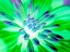 Picture of BRIGHT CLUSTER IV