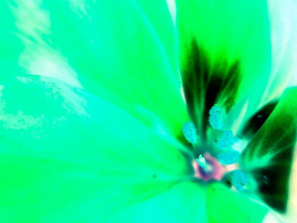 Picture of GREEN LEAVES III