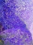 Picture of PURPLE FOAM