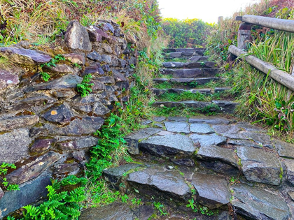 Picture of STONE STAIRS II