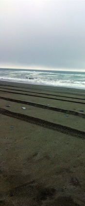 Picture of BEACH TRACKS I
