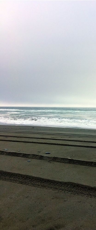 Picture of BEACH TRACKS II