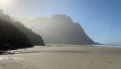 Picture of FOGGY BEACH I
